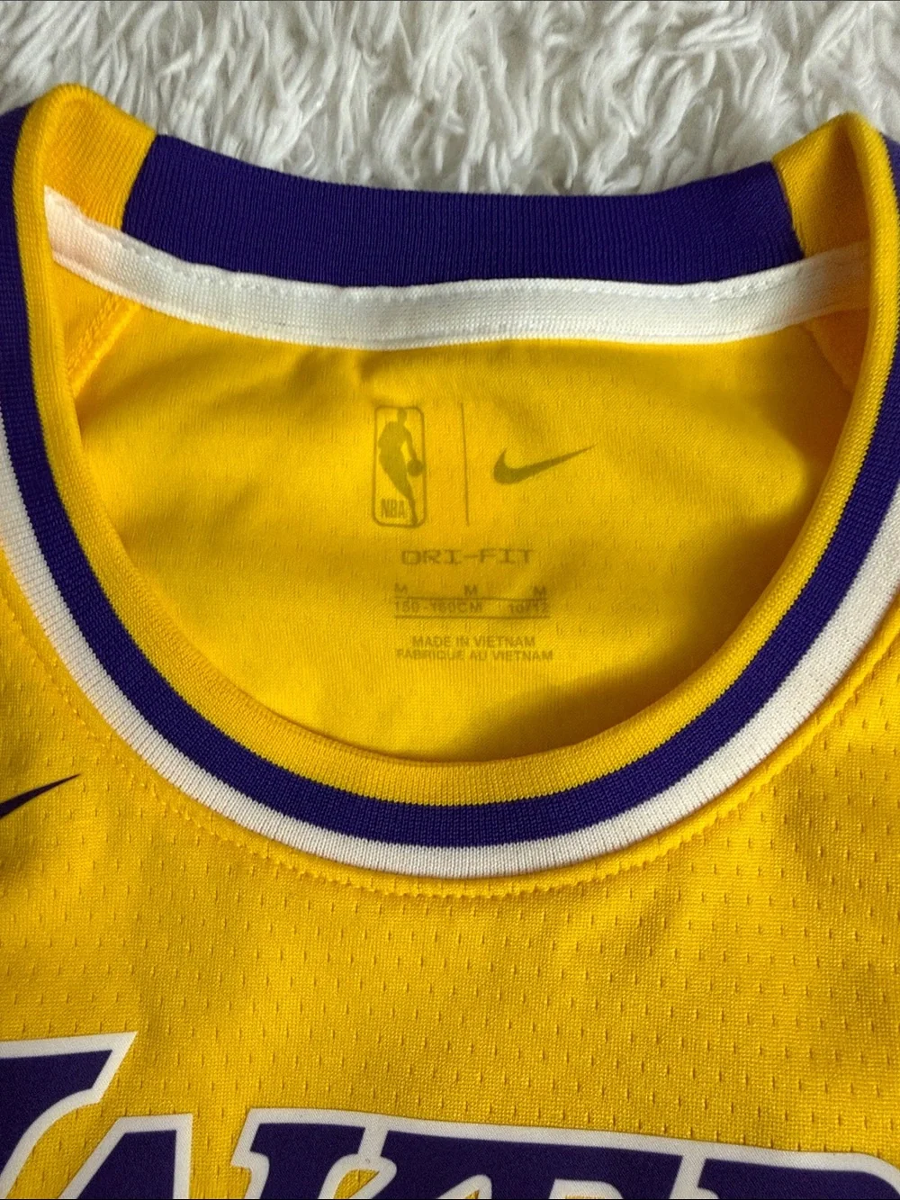 Nike Lakers Purple and Yellow #6 Basketball Jersey